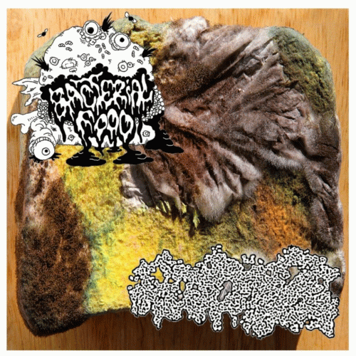 Bacterial Food : Bacterial Food - Seborrheic Keratosis